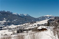 Golserhof im Winter